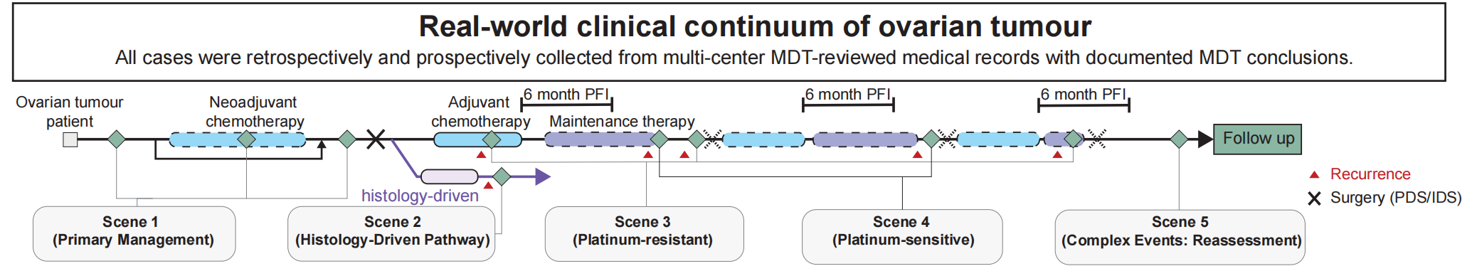 Horizontal timeline of five ovarian tumour MDT scenes: primary management, histology-driven pathway, platinum-resistant relapse, platinum-sensitive relapse, and complex-event reassessment.